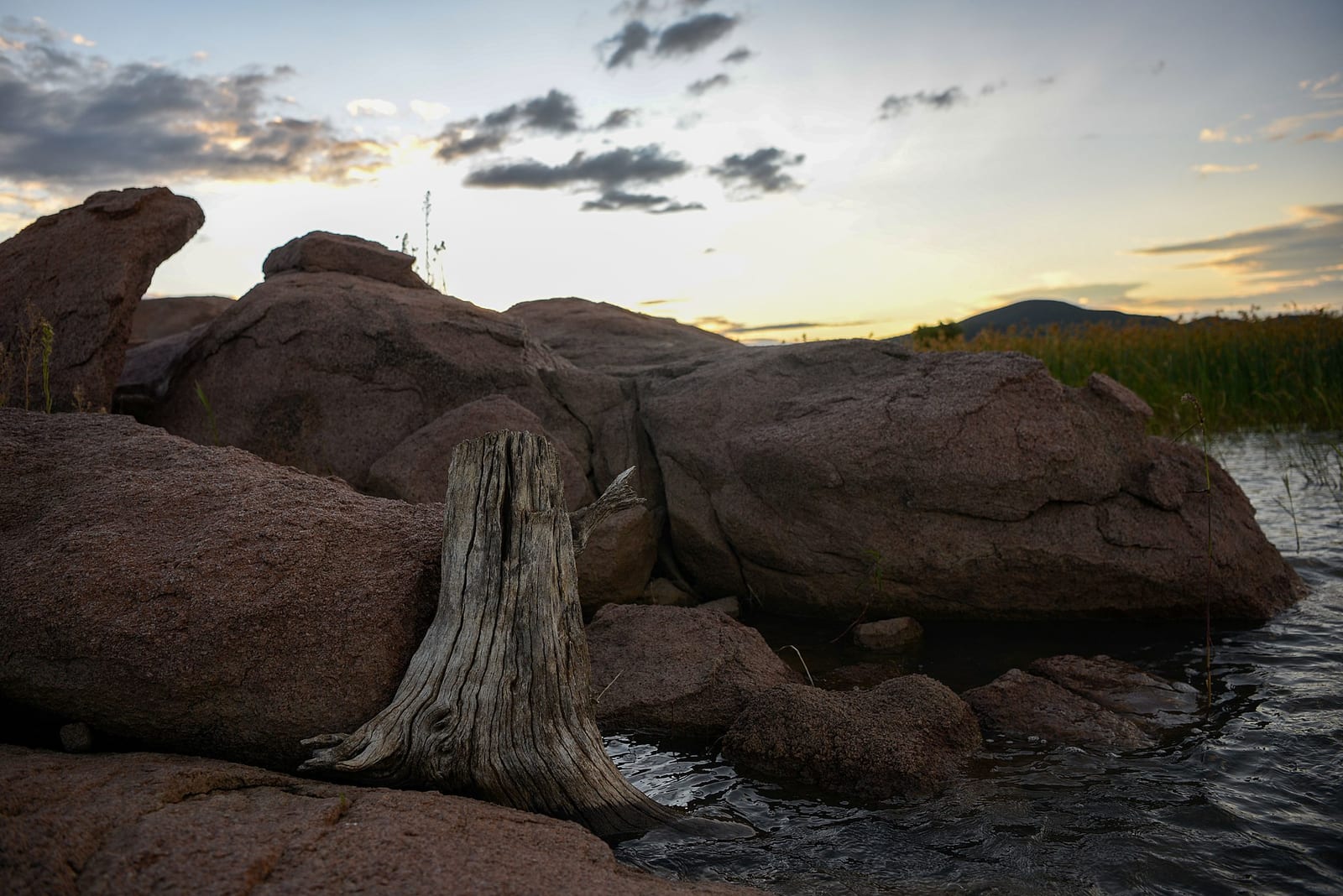 Landscape wood in Gaborone dam.jpg